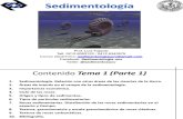 Sedimentologia Tema 1 I-2012