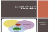 Sx Nefrítico y Nefrótico