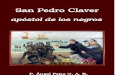 San Pedro Claver Apostol de los Negros de Padre Ángel PeNa O.A.R.
