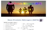 Presentation NPN STABA