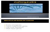 Oncogenes 2