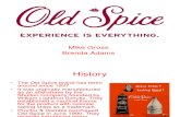 Old Spice Presentation 972003[1]