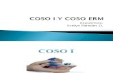 COSO I Y II