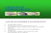 SN-Centros corticales