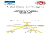 Metabolismo del nitrógeno clase 9