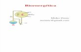 bioenergetica  2007 I