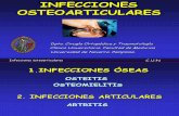7 - infecciones óseas y articulares