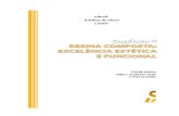 Cap04 - eBook Jubileu APCD 2007