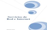 Tema1 Servicios de Red e Internet
