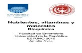 2 Nutricion-Vitaminas-minerales Clase 2