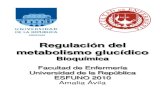 6 Regulacion Metabolismo Glucidico y Control Glicemia Clase 6