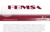 FEMSAs Overview 22Ago SP