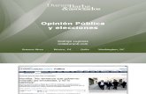 Opinión Pública y Elecciones - Rodrigo Lugones
