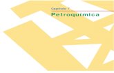 Capítulo 7 Petroquímica[1]