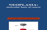 Neoplasia 4 Molecular