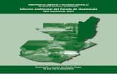 Informe Ambiental del Estado de Guatemala GEO Guatemala 2009