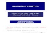 CV 12. Ingenieria genetica (4)2011