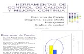 HERRAMIENTAS  DE CONTROL  DE CALIDAD Y  MEJORA  CONTINUA