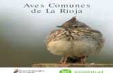 Aves Comunes de La Rioja