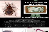 La Enfermedad de Chagas - Conceptos e Imágenes