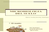 Microbiolog%EDa del suelo