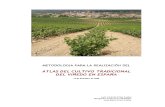 ATLAS del cultivo tradicional del viñedo en ESPAÑA 2009