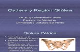 Cadera y Región Glútea