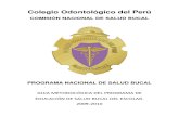 Plan de Comunicacion Educativa Colegio Odontologico Del Peru