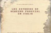 Los Estudios de Derecho Procesal en Italia Piero Calamandrei