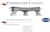 Finanacial Crises Presentation