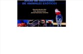 Atlas de anatomía de animales exóticos