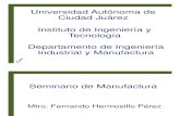 Seminario de Manufactura 2010-A (Unidad I)