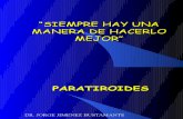 SEMIO - ENDOCRINO: 10. Paratiroides - Dr Jimenez