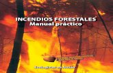 PDF Manual Practico Incendios 2007