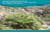 Manual de hábitats de Murcia. 4 Matorrales esclerófilos
