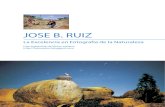 Entrevista a Jose B. Ruiz