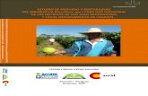 Estudio de mercado y rentabilidad del mburukuja (Passiflora spp.) para uso industrial.