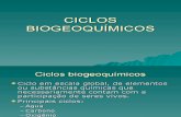 Biologia PPT - Ciclos Bioquímicos
