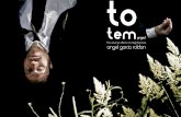 Portfolio Totem Project. videoart. Ángel García Roldán