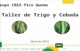 Análisis Campaña CREA Pico Quemu Abril 2015