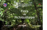 Flora de Pichiquillaipe