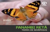 Revista comunitaria Mbya Guarani - ÑUAPU'A