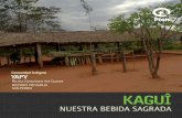 Revista comunitaria Avá Guarani - YAPY