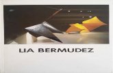 Lía Bermúdez. Exposición retrospectiva en el Museo de Arte Contemporáneo de Caracas.