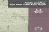 Asuntos educativos en el Fondo Camilo Torres Tenorio