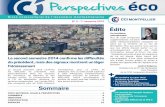 Perspective éco CCI de Montpellier - 1er semestre 2015