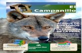 Campanillo 01 06 2015