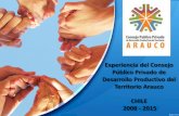 Experiencia del Consejo Publico Privado de Desarrollo Productivo de Arauco