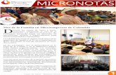 Boletín micronotas ed junio 2015