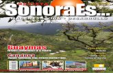 Revista Sonora Es 136